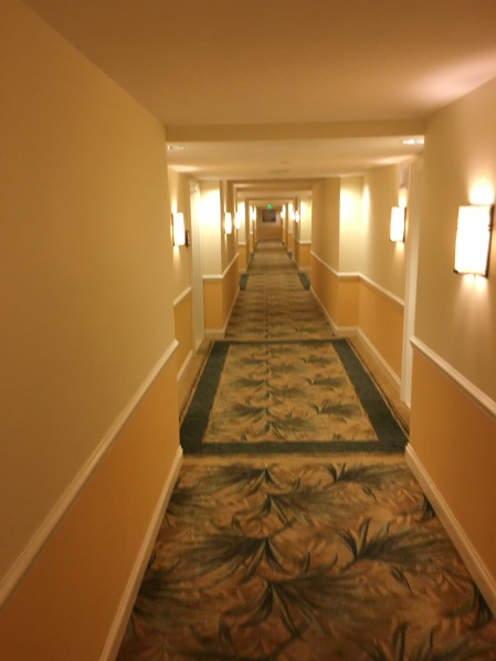 Florida Themed Hallways